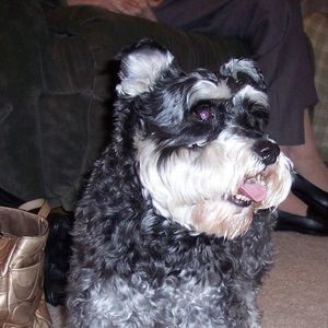 Meet your Posher, Joann